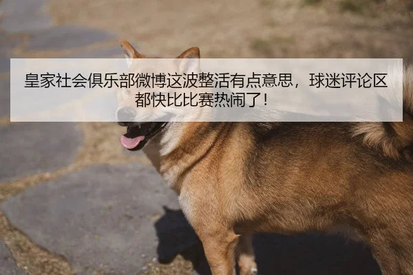 皇家社会俱乐部微博这波整活有点意思，球迷评论区都快比比赛热闹了！