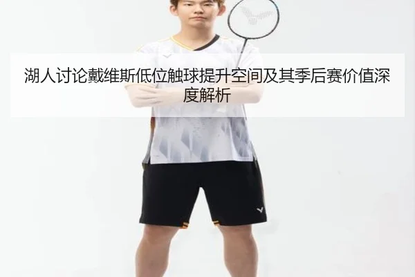 湖人讨论戴维斯低位触球提升空间及其季后赛价值深度解析